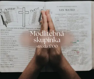 Naše aktivity