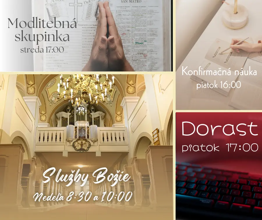 Aktivity na 49. týždeň